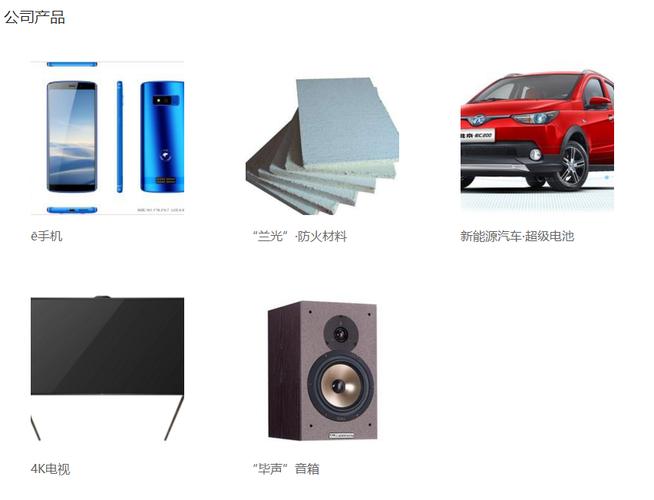 公司经营范围包括:信息咨询服务;软件技术服务;商品批发与贸易服务等